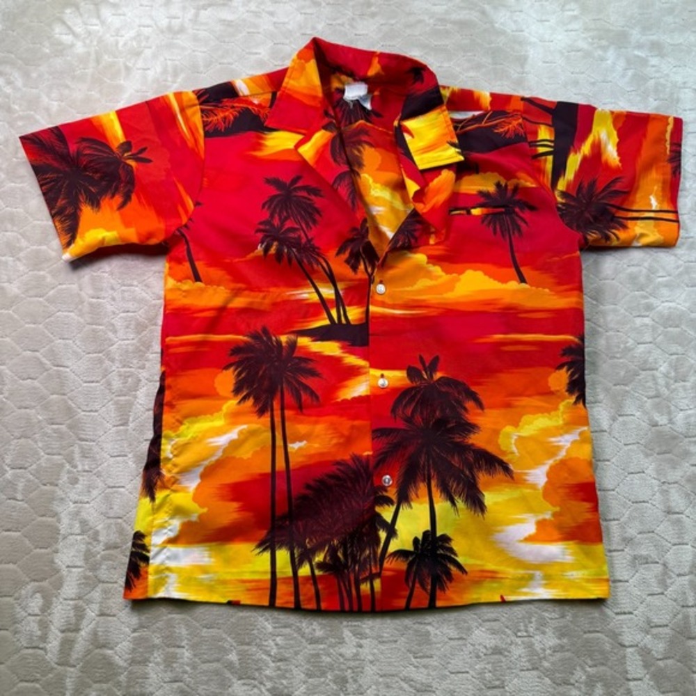 VTG 70s 80s Kole‎ Kole Polyester Button Up Shirt Sz Lg Sunset Missing Button